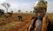 Nijer'de yetersiz beslenme krizi büyüyor
