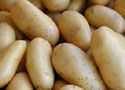 Midenin ilacı patates suyu