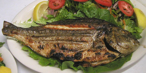 Omega 3 okutuyor