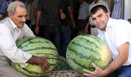 Karpuzda hedef 70 kilo