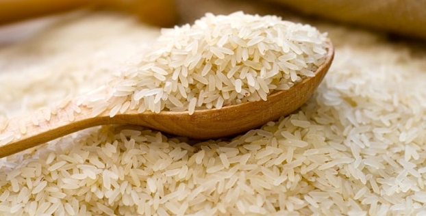 GDOlu pirinç olayında temiz rapor şoku