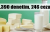 7 bin 390 denetim, 246 yaptırım