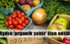 Aydın 'organik şehir' ilan edildi