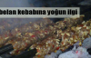 Dobelan kebabı yok satıyor