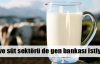 Et ve süt sektörü gen bankası istiyor