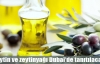 Gulfood'a zeytin ve zeytinyağı çıkarması