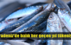 Karadeniz'in balıkları yok oluyor!