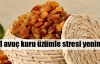 Kuru üzümle stresi yenin