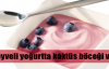 Meyveli yoğurtta 'böcek' tehlikesi