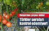Rusya'dan Türkiye'ye domates suçlaması