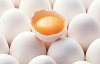 Taze yumurta nasıl anlaşılır?