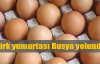 Türk yumurtası Rusya yolunda