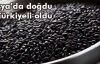 Türkiye'nin ilk siyah pirinci tescil yolunda