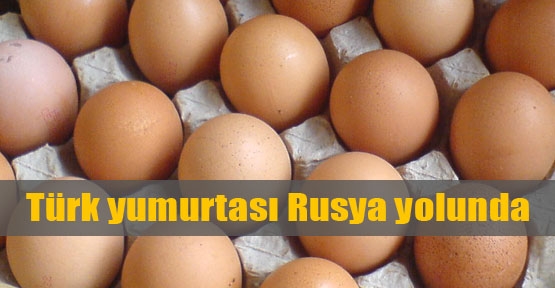 Türk yumurtası Rusya yolunda