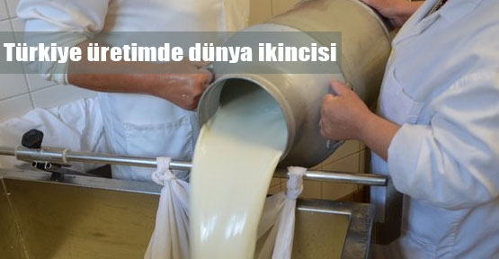  Türkiye bu alanda dünya ikincisi