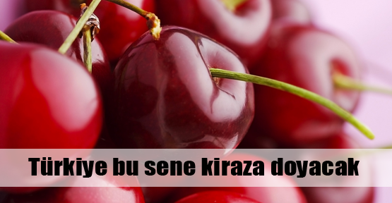 Türkiye bu sene kiraza doyacak