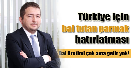 Türkiye'de bal üretimi çok, gelir yok