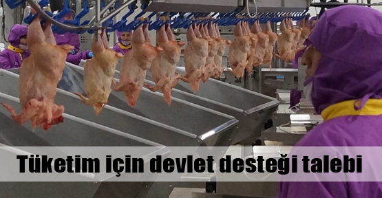 Türkiye’de tavuk eti tüketimi düşük