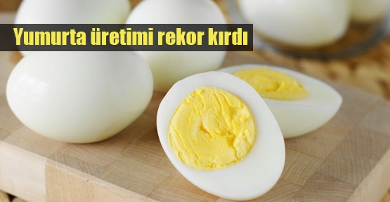 Türkiye'nin yumurta üretiminde rekor