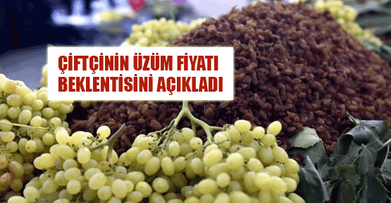 Üzüm fiyatları kaç lira olmalı?