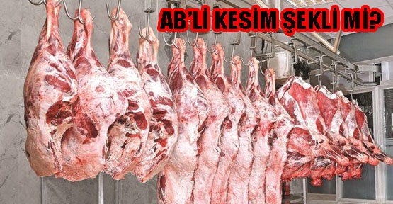 Yeni Kesim Genelgesi ne getiriyor?