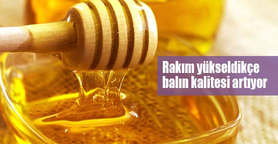 Yüksek rakım balın kalitesini artırıyor