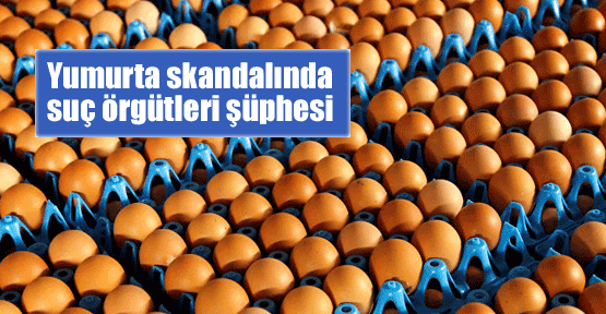 Yumurta skandalında suç örgütü şüphesi