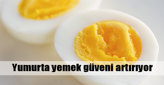 Yumurta ye, güvenin artsın