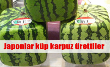 Bu karpuzun tanesi 100 dolar