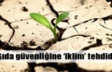 Gıda güvenliği iklim tehdidi altında