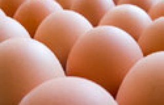 Yılda kaç adet yumurta yiyoruz?