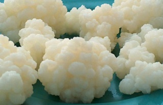 Kafkasların yaşam iksiri kefir