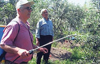 Sebze ve meyvede ilaç kullanımı azalıyor