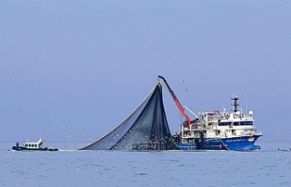 Balık avı sezonu başlıyor