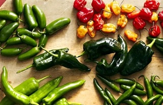 İhracatın şampiyonu biber oldu