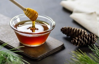 Türk balı dünya sofralarında daha fazla yer alacak