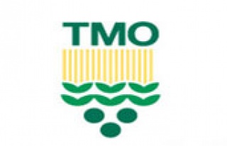 TMO mısırı 540 liradan alacak