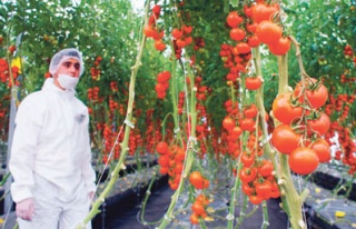 Bazı ilaç kalıntıları yıkamakla da gitmiyor