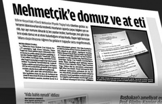 Domuza askerî savcılık el koymalı