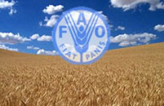 FAO’dan umutlandıran anlaşma