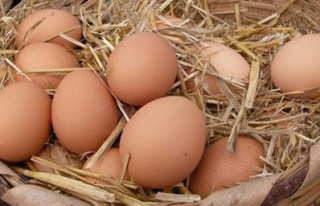 Köy yumurtası diye tüketiciyi kandırıyorlar!