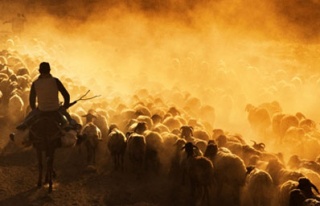 “Tarım ve İnsan” fotoğraf şöleni...