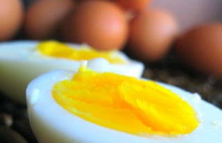 Yumurta sektöründe Avrupa heyecanı
