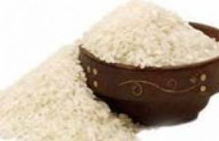Kokulu pirinç üretimine ilk adım atıldı