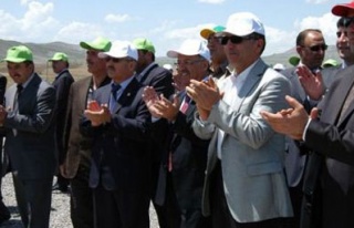 Yerli patates tohumu toprağa düştü!