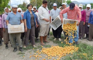 Bahçede 30 kuruş tezgahta 3 lira!