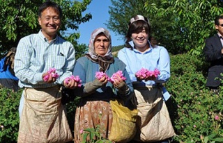 Japonlar gülistana hayran kaldı!