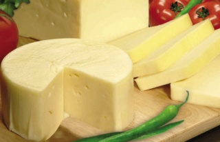Peynirde çeşit zengini tescil fakiriyiz!