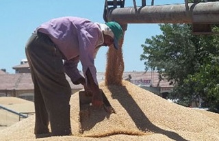 TMO'nun buğday alımı 1 milyara gidiyor