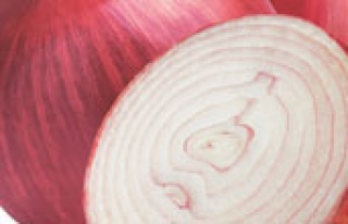 Sindirim sorunlarına en iyi çözüm